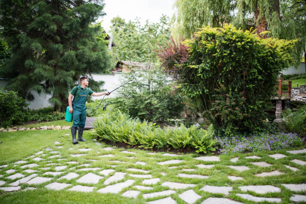 Best Ant Control Services  in Heathrow, FL