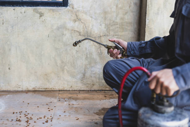 Professional Pest Control in Heathrow, FL